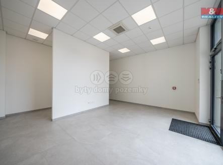 Hala-Modrice-web-3.jpg | Pronájem - obchodní prostor, 349 m²