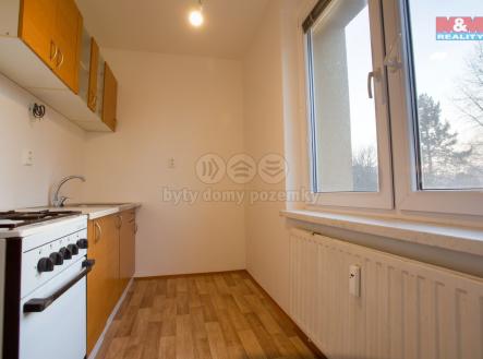 IMG_3765_hdr.jpg | Pronájem bytu, 1+1, 38 m²