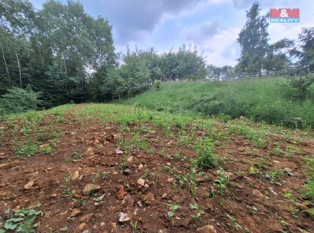 20250603_134845.jpg | Prodej - pozemek pro bydlení, 2 559 m²