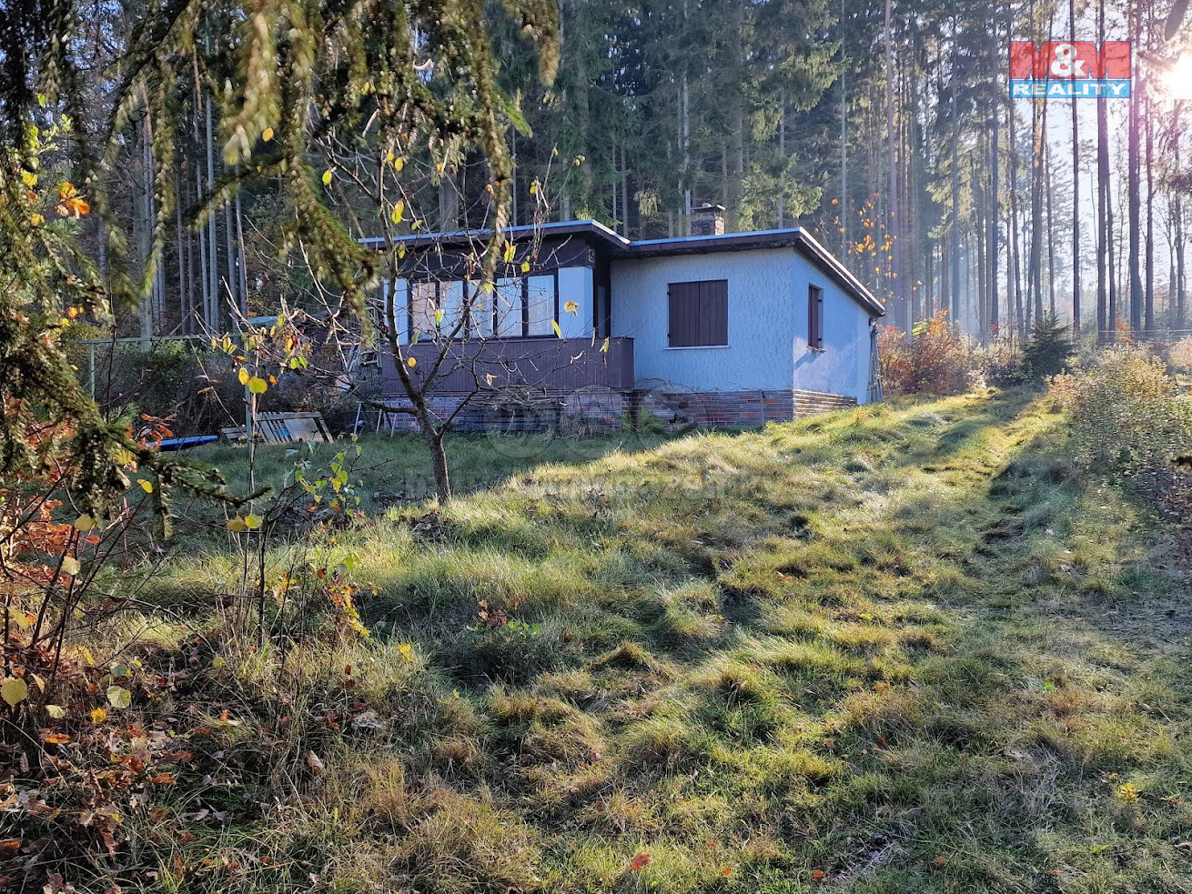 20241104_143333.jpg