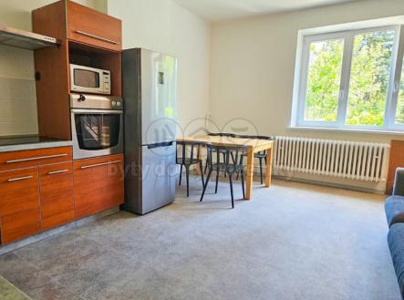 IMG-20250604-WA0034.jpg | Pronájem bytu, jiný, 19 m²
