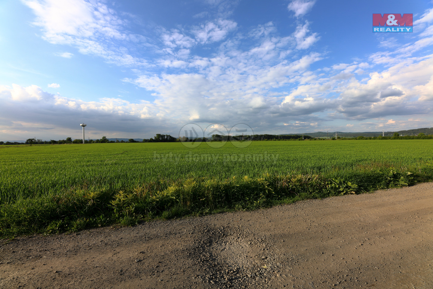IMG_4357.jpg