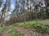 Prodej - pozemek, les, 3 372 m²