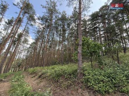IMG_0892.jpeg | Prodej - pozemek, les, 3 372 m²
