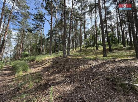 IMG_0891.jpeg | Prodej - pozemek, les, 3 372 m²