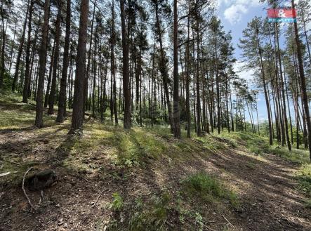 IMG_0890.jpeg | Prodej - pozemek, les, 3 372 m²