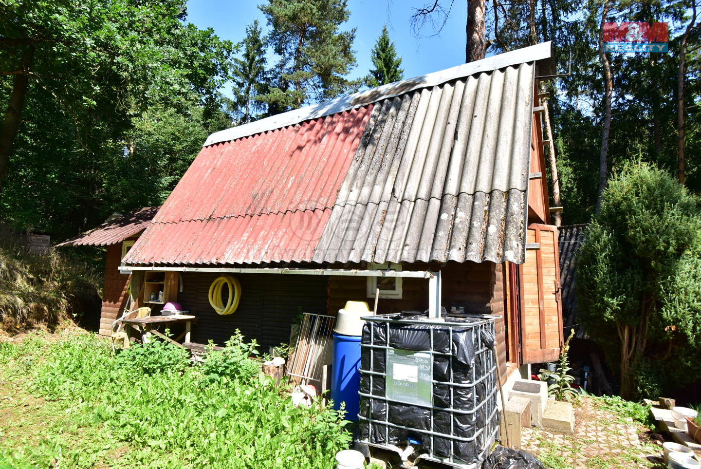 DSC_0919.jpg
