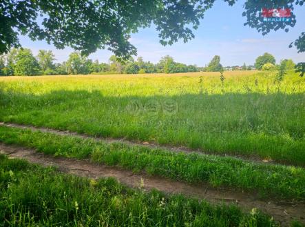 20250604_112118.jpg | Prodej - pozemek, trvalý travní porost, 1 070 m²