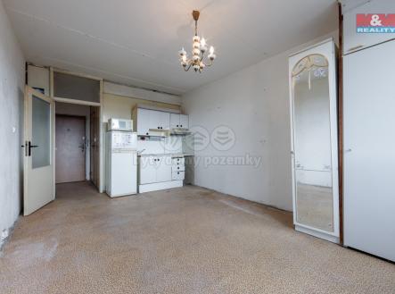 6U1A4572.jpg | Prodej bytu, 1+kk, 22 m²