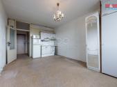 Prodej bytu, 1+kk, 22 m²