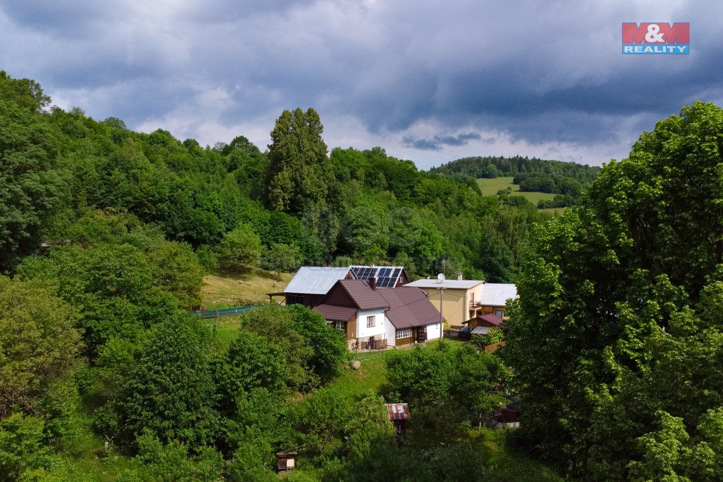 128-ZooDJI_0139.jpg