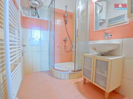 702374_0-5d4c0743c6913.jpg | Pronájem bytu, 1+1, 39 m²