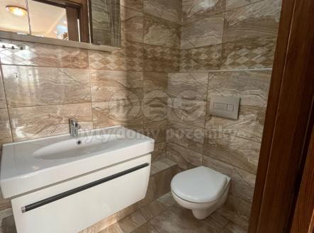 Obrázek WhatsApp, 2025-06-10 v 00.06.30_5ead33b2.jpg | Prodej bytu, 1+kk, 15 m²