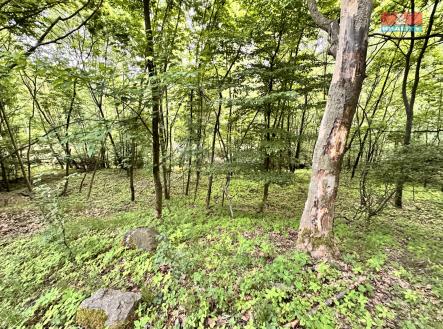 IMG_3574.jpeg | Prodej - pozemek, zahrada, 333 m²