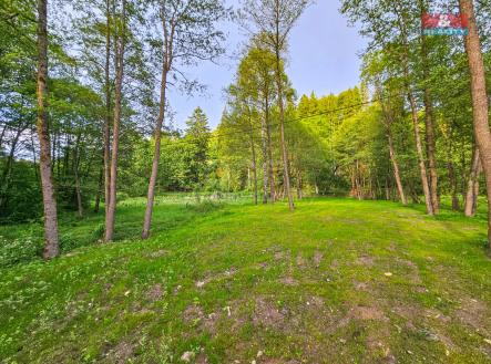 Prodej pozemku k bydlení, 1925 m², Nový Hrádek - Rzy | Prodej - pozemek pro bydlení, 1 925 m²