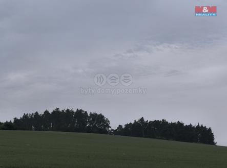 IMG_20250610_164247.jpg | Prodej - pozemek, les, 20 128 m²