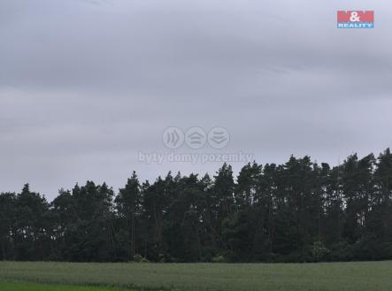 IMG_20250610_164017.jpg | Prodej - pozemek, les, 20 128 m²