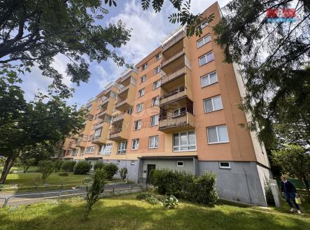 IMG_4262.jpeg | Pronájem bytu, 1+1, 36 m²