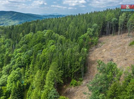 Pohled na Les | Prodej - pozemek, les, 6 696 m²