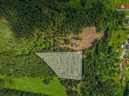 Pohled na Les | Prodej - pozemek, les, 6 696 m²