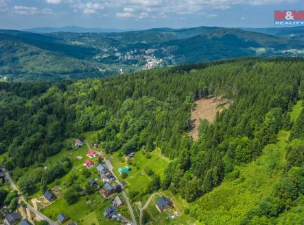 Pohled na Les | Prodej - pozemek, les, 6 696 m²