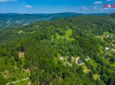 Prodej - pozemek, les, 6 085 m²