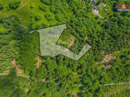Pohled na Les | Prodej - pozemek, les, 6 085 m²