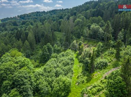 Pohled na les | Prodej - pozemek, les, 7 528 m²