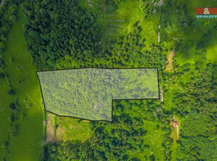 Pohled na les | Prodej - pozemek, les, 29 930 m²