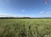 Prodej - pozemek, zemědělská půda, 8 056 m²