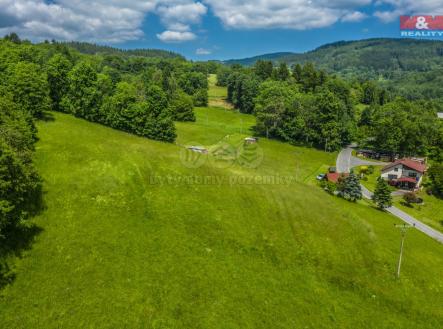 Pohled na Louku | Prodej - pozemek, trvalý travní porost, 3 867 m²