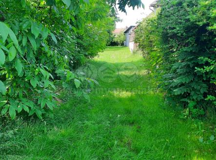 20250609_095714.jpg | Prodej - pozemek, zahrada, 1 622 m²