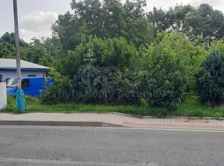 20250609_102513.jpg | Prodej - pozemek, zahrada, 1 622 m²