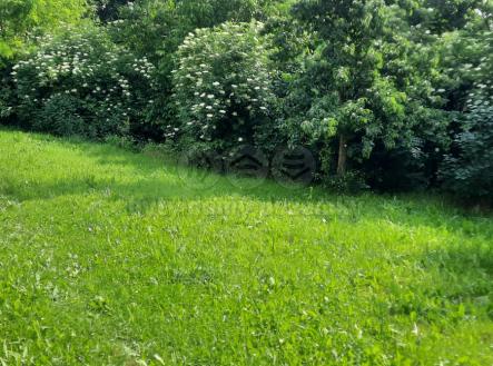 20250609_095751.jpg | Prodej - pozemek, zahrada, 1 622 m²