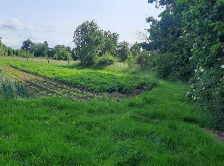 20250609_095707.jpg | Prodej - pozemek, zahrada, 1 622 m²