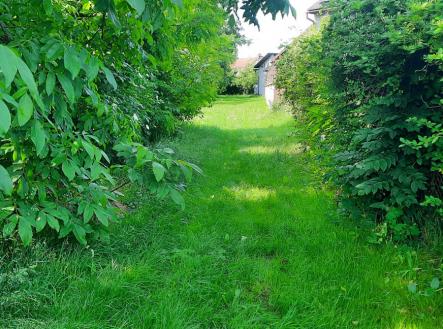 20250609_095714.jpg | Prodej - pozemek, zahrada, 1 622 m²