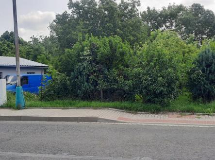 20250609_102513.jpg | Prodej - pozemek, zahrada, 1 622 m²