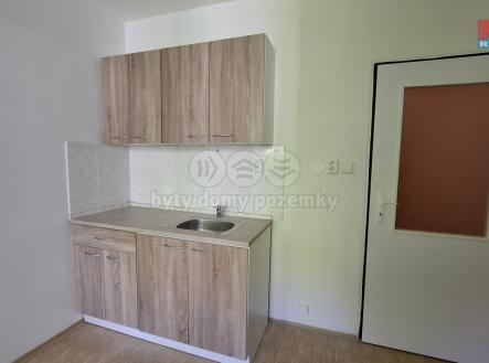 20250613_125747.jpg | Prodej bytu, 1+kk, 16 m²