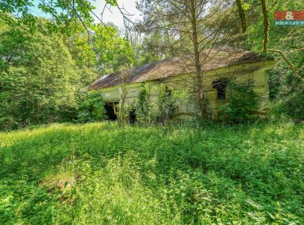 DSC04852_3.jpg | Prodej - pozemek, les, 5 096 m²