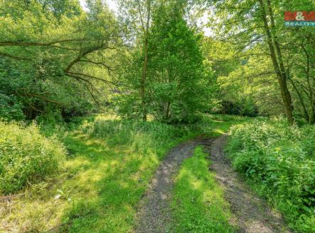 DSC04844_1.jpg | Prodej - pozemek, les, 5 096 m²