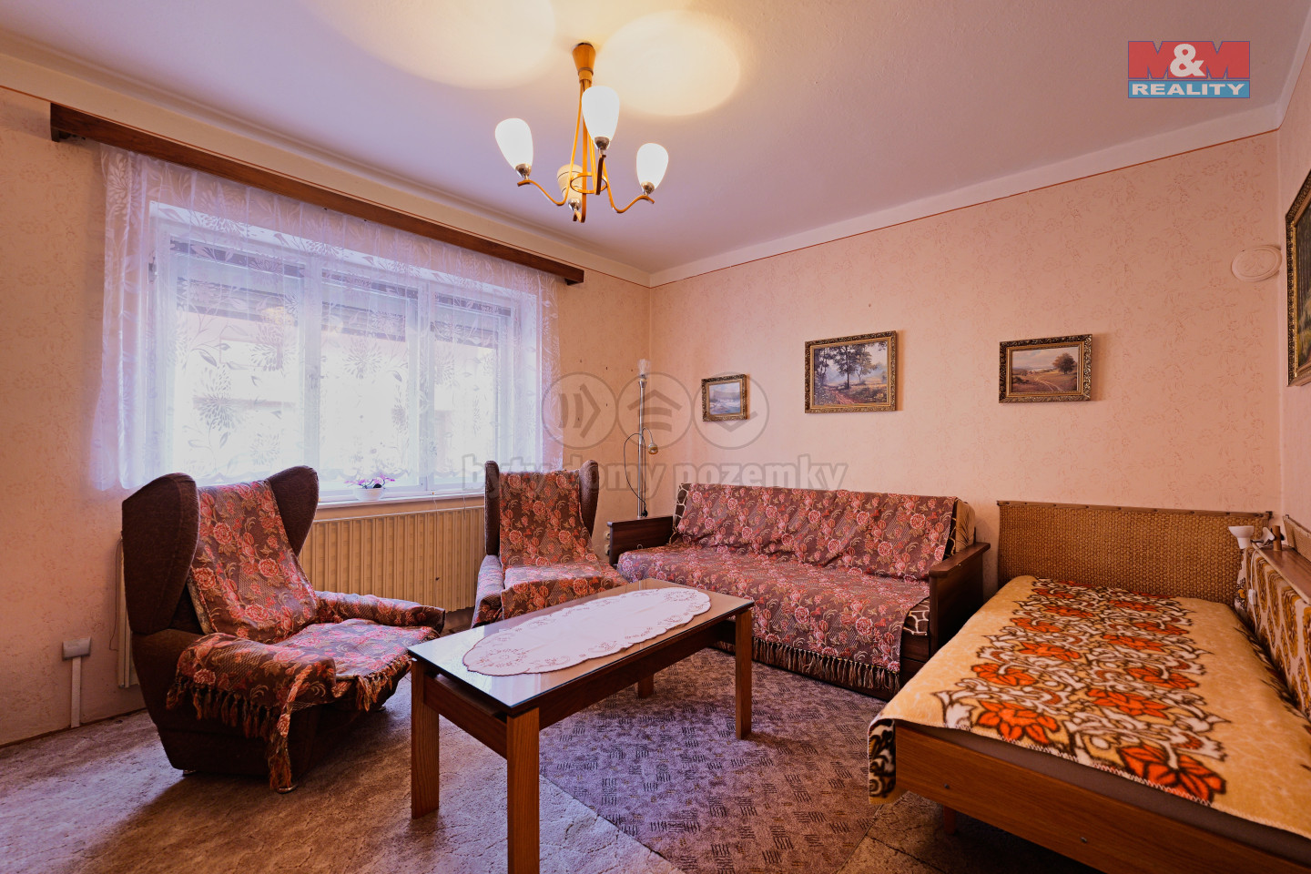 P1147913.jpeg