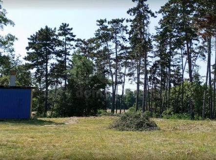 uo70.jpg | Prodej - pozemek, les, 3 111 m²