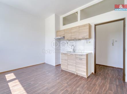 60_DSC09148_60.jpg | Pronájem bytu, 1+kk, 24 m²