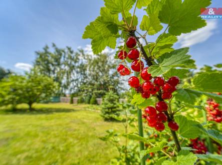 37_DSC05398_37.jpg | Prodej - pozemek pro bydlení, 520 m²