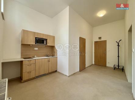 IMG_1382.jpg | Pronájem bytu, 1+1, 46 m²