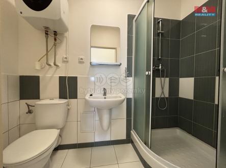 IMG_1383.jpg | Pronájem bytu, 1+1, 46 m²