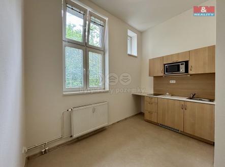 IMG_1381.jpg | Pronájem bytu, 1+1, 46 m²