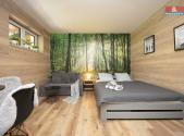 Prodej bytu, 1+kk, 31 m²
