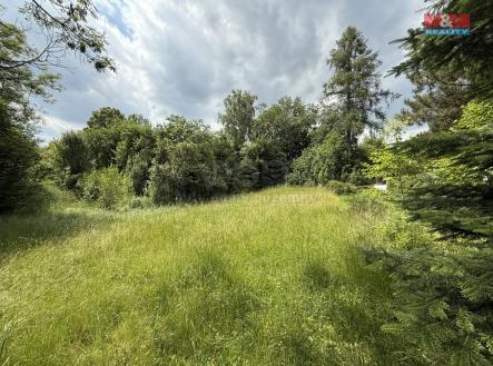 IMG_1178.jpeg | Prodej - pozemek pro bydlení, 1 942 m²