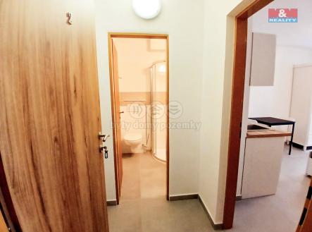 20250617_110106.jpg | Pronájem bytu, 1+kk, 20 m²